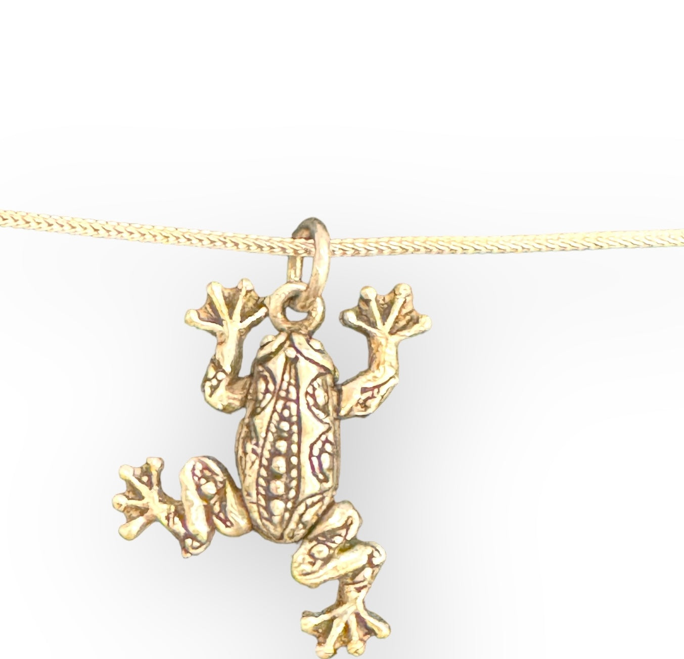 Sterling Silver Moving Frog Pendant